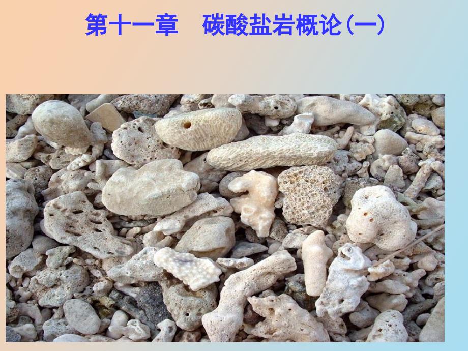 碳酸盐岩概论_第1页