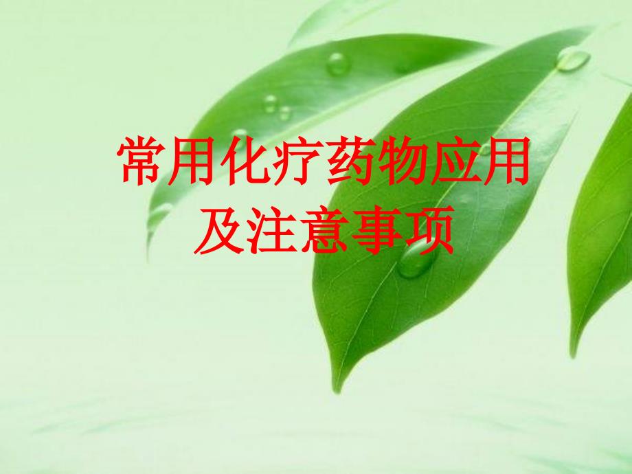 常见化疗药物应用及注意事项课件_第1页