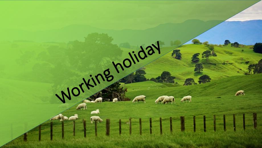 打工假期(workingholiday)_第1页