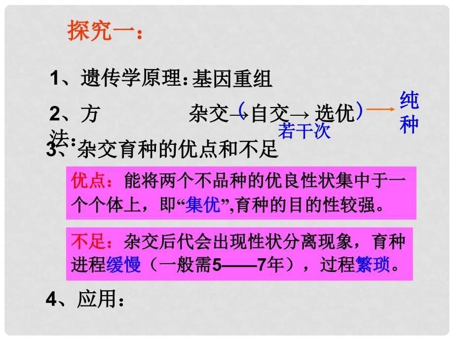 陕西地区高中生物复习资料 杂交育种与诱变育种课件 新人教版必修2_第5页