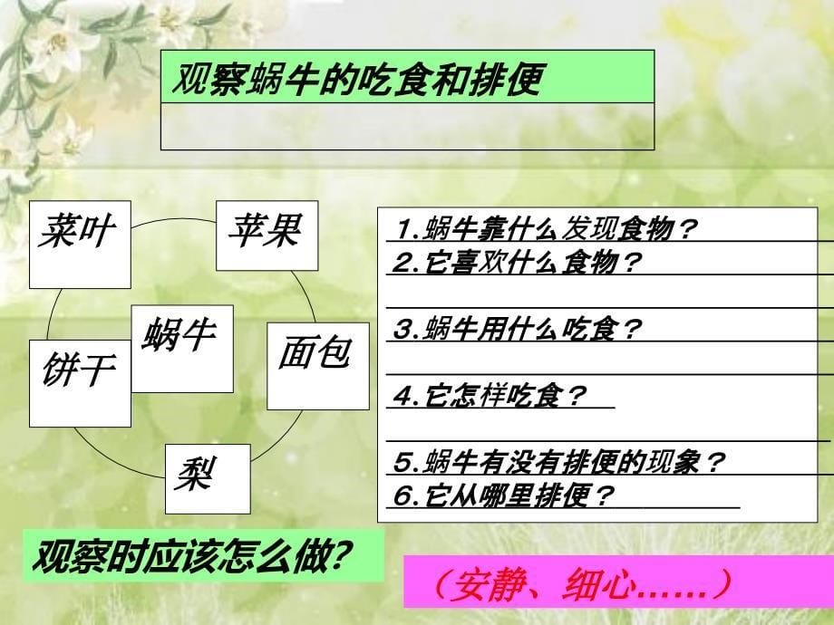 三年级教科版科学3蜗牛二修改_第5页