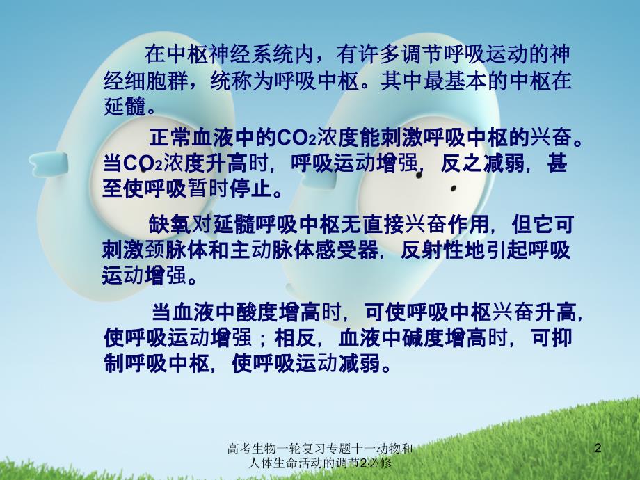 高考生物一轮复习专题十一动物和人体生命活动的调节2必修课件_第2页