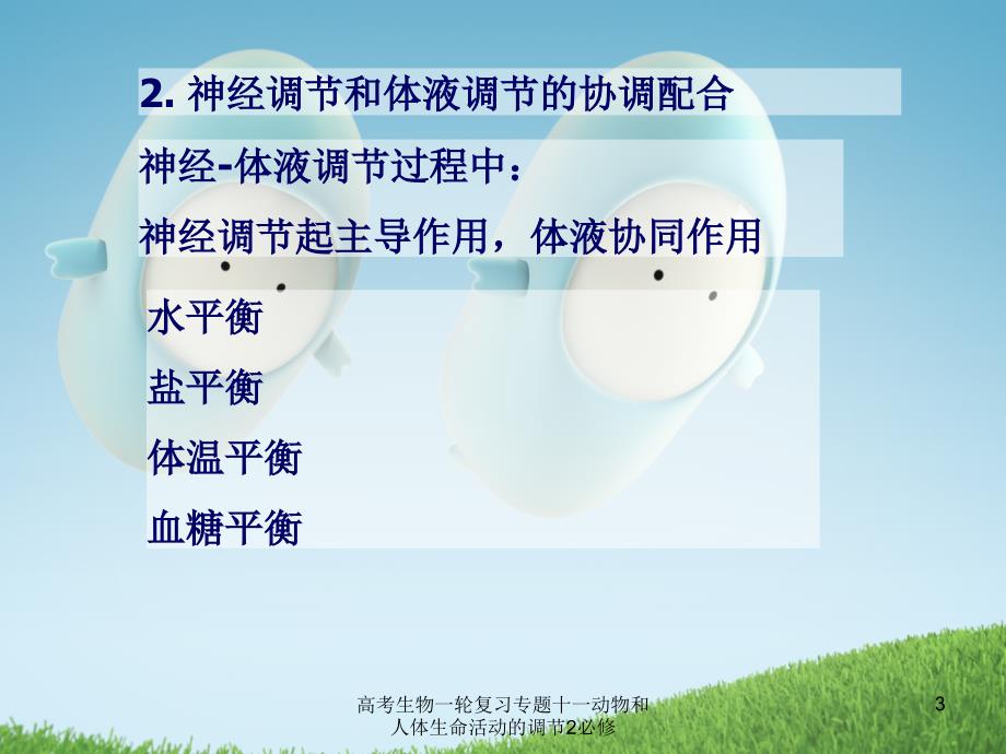 高考生物一轮复习专题十一动物和人体生命活动的调节2必修课件_第3页