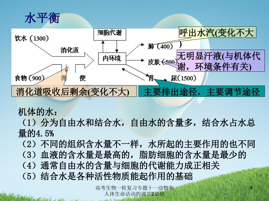 高考生物一轮复习专题十一动物和人体生命活动的调节2必修课件_第4页