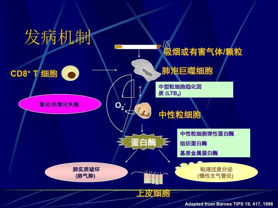 慢性阻塞性肺疾病新ppt课件.ppt_第5页