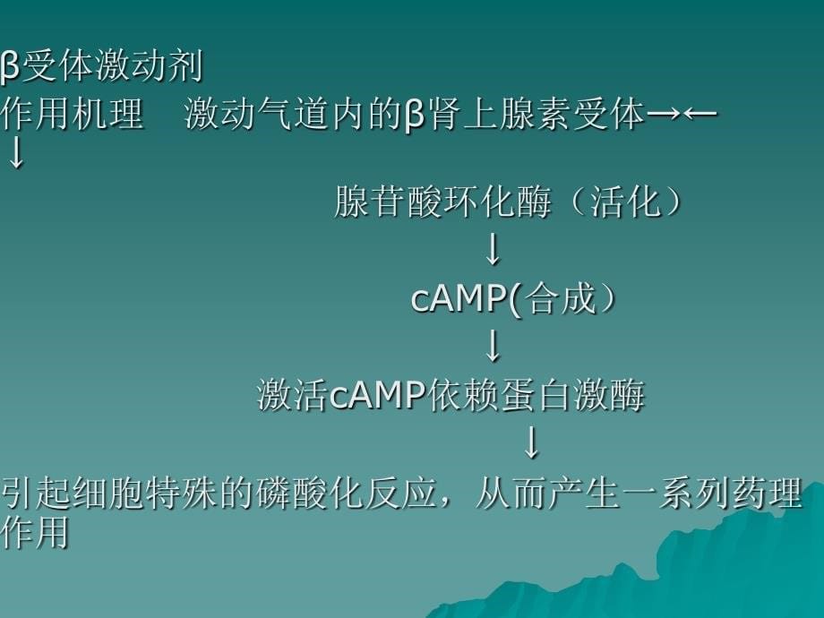 呼吸系统疾病的常用药 PPT课件.ppt_第5页