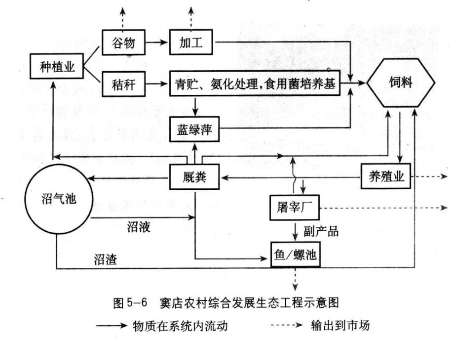 5.2　生态工程的实例和发展前景 (2)_第4页