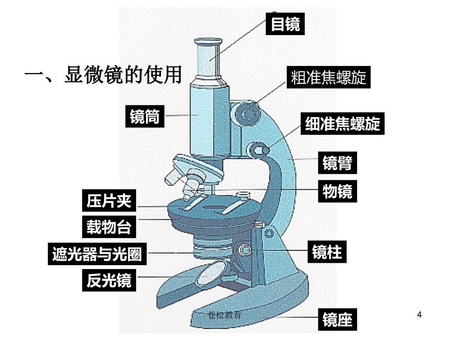 高三生物实验专题复习[优选教学]_第4页