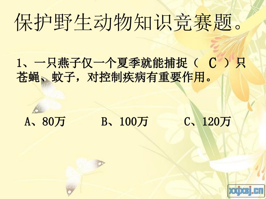 小学四年级3班主题班会爱动物=爱自己精品课件_第2页