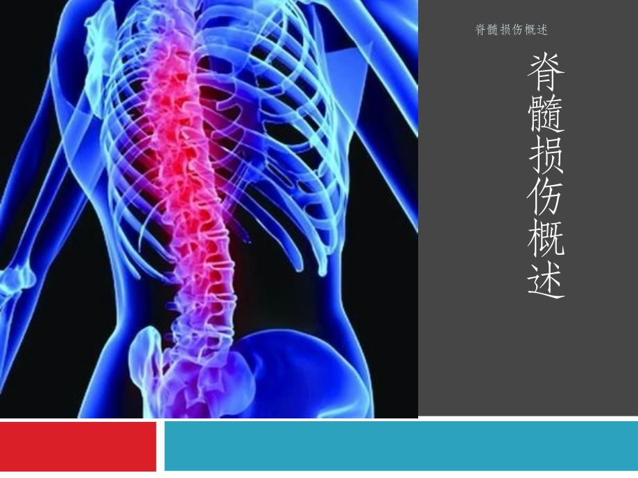 最新脊髓损伤概述_第1页