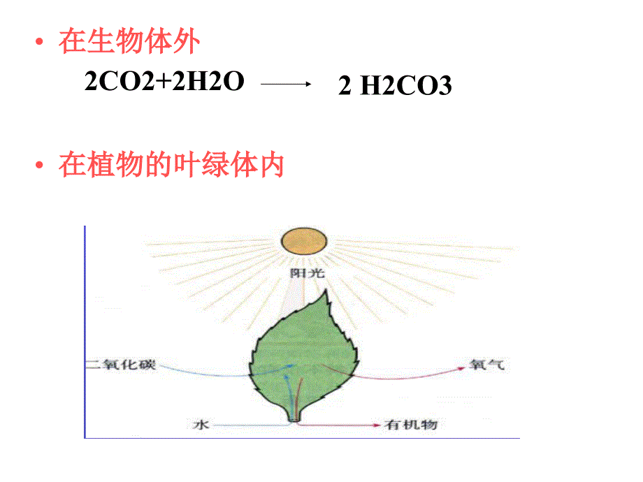 光合作用过程反应式比较表课件_第1页