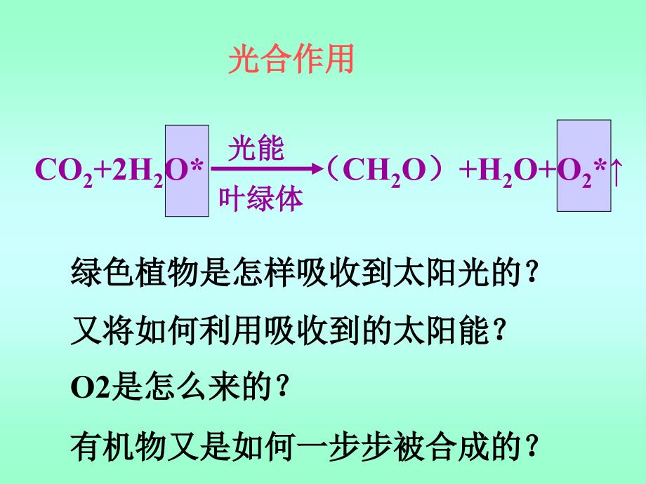 光合作用过程反应式比较表课件_第2页