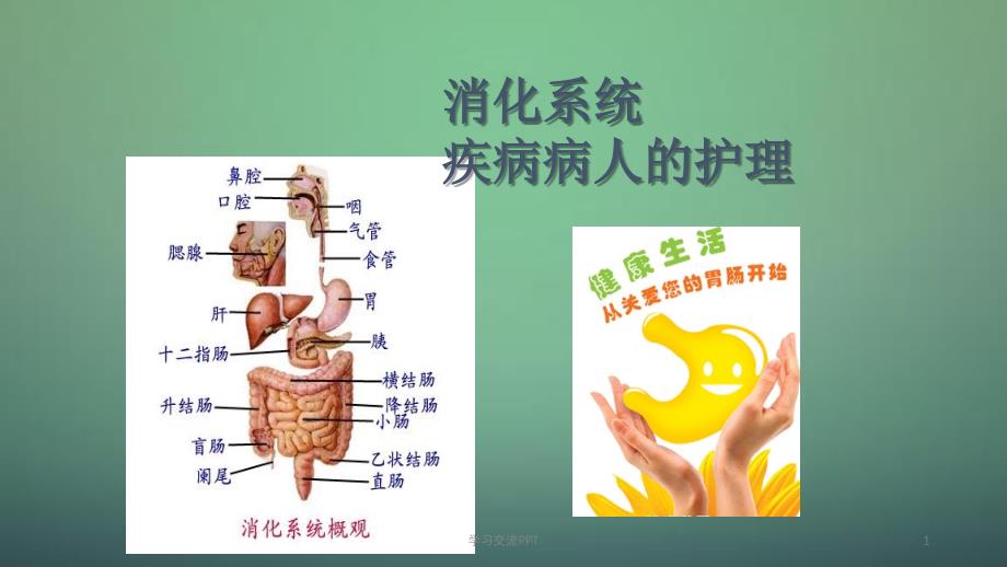 概述消化系统疾病护理医学ppt课件_第1页