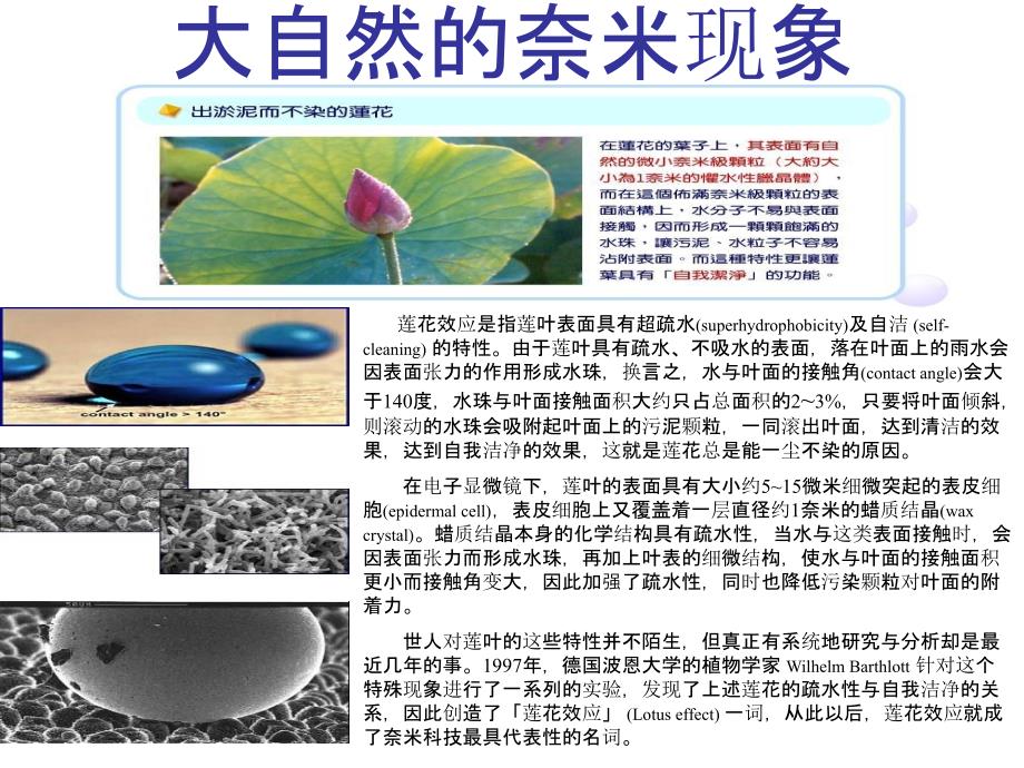 奈米知识教学园地PPT课件_第3页