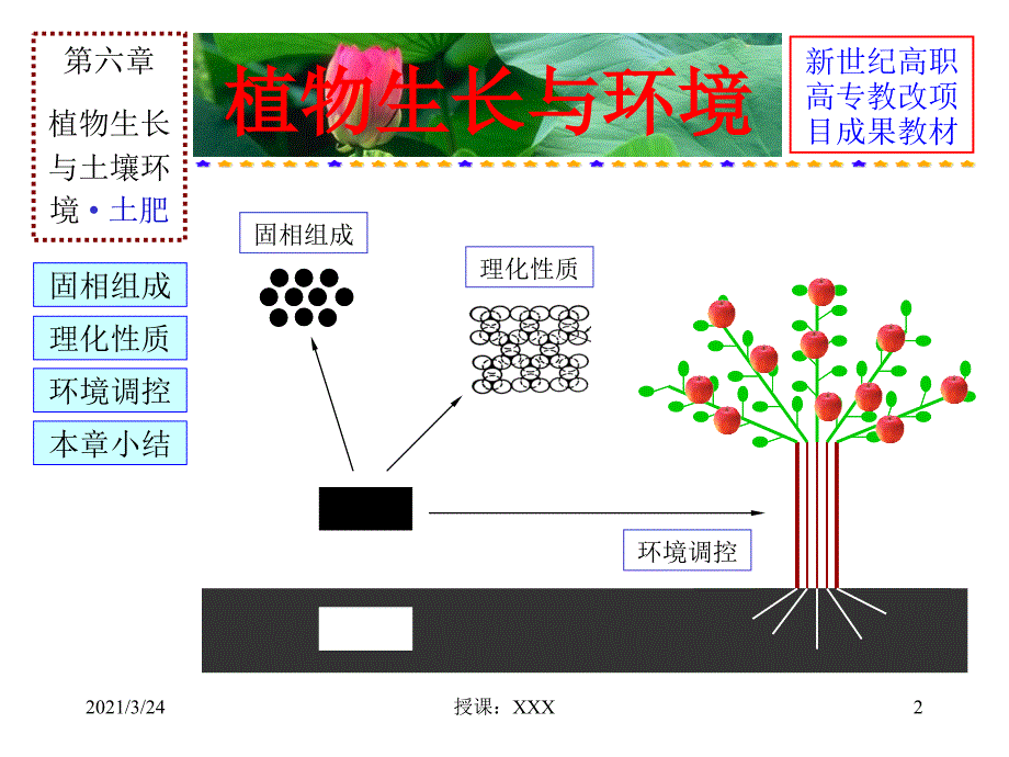 植物生长与土壤环境PPT课件_第2页