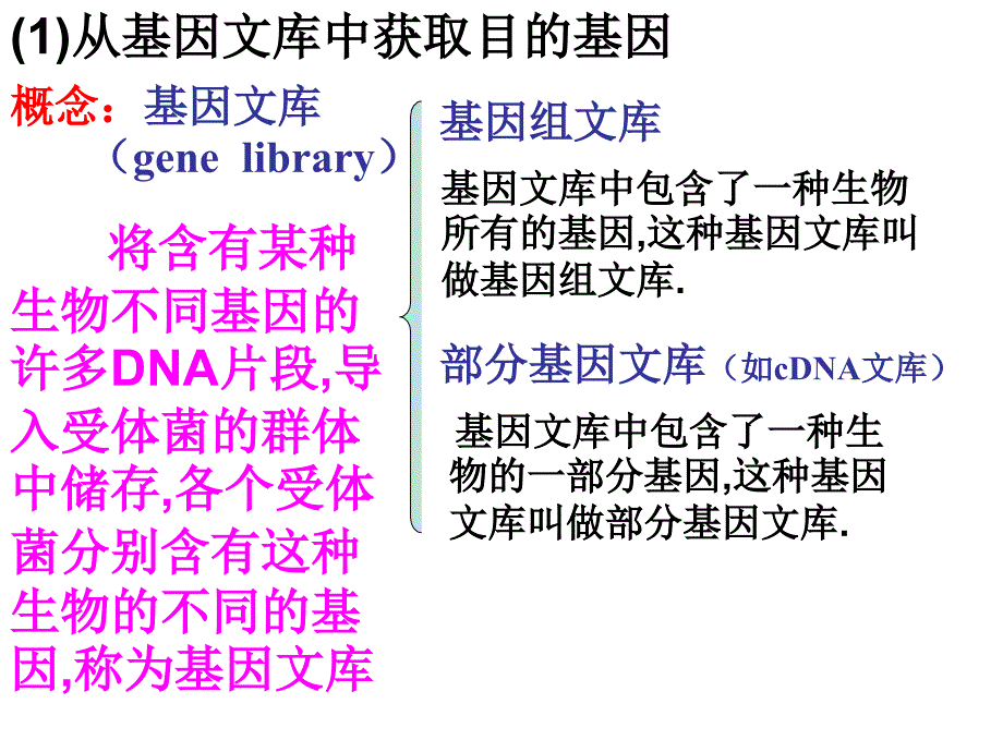 基因工程的基本操作程序_第4页