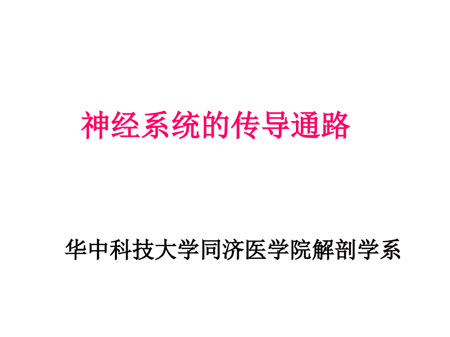 系统解剖学：神经系统的传导通路_第1页