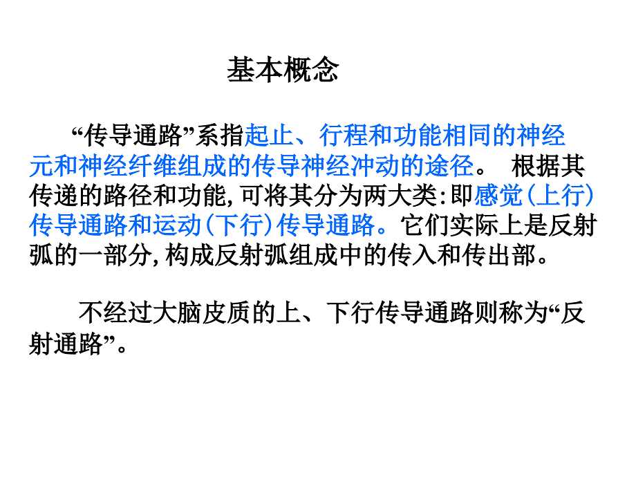 系统解剖学：神经系统的传导通路_第2页