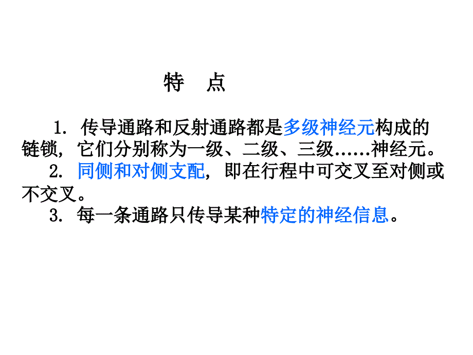 系统解剖学：神经系统的传导通路_第3页