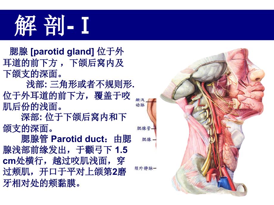 腮腺肿瘤切除术PPT课件_第3页