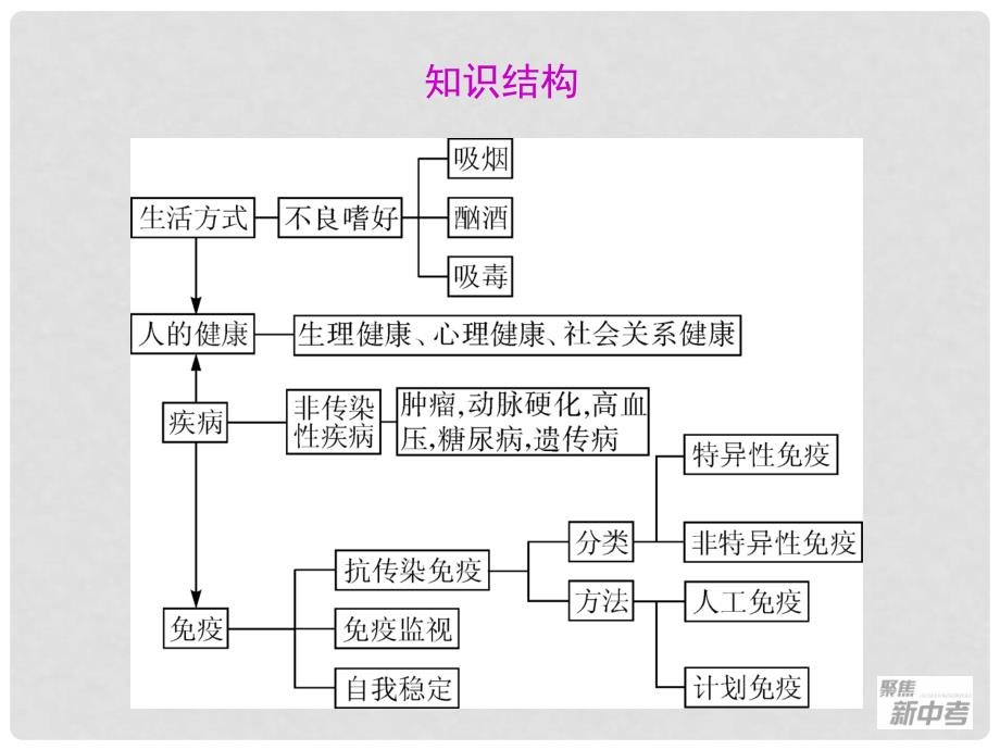 广东省深圳市福田云顶学校中考生物总复习 第11课 人体保健课件_第3页