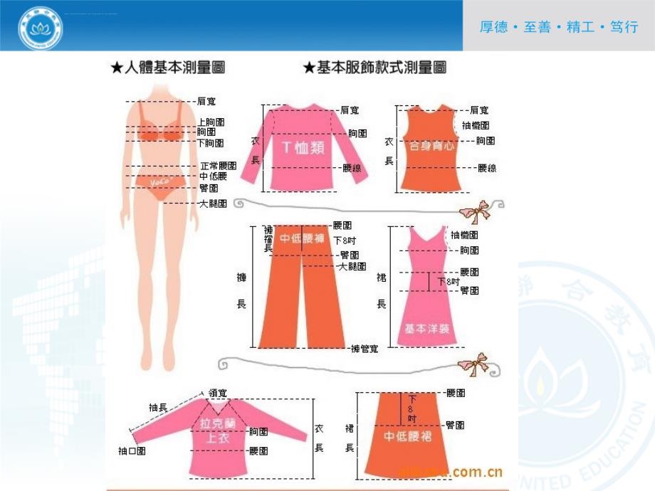 服装结构制图人体测量ppt课件_第3页