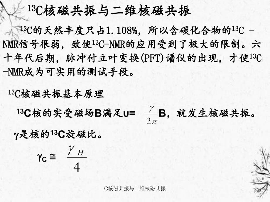 C核磁共振与二维核磁共振_第1页