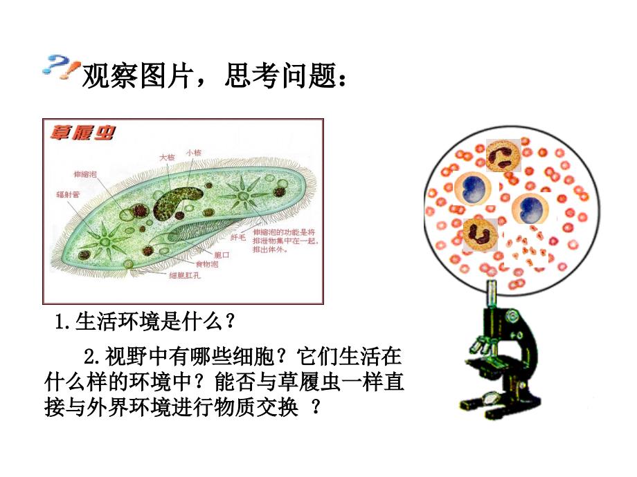 细胞生活的环境_第2页