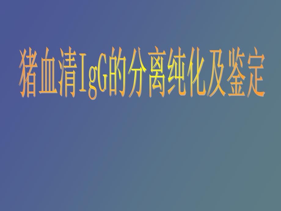 猪血清IgG的分离纯化及鉴定_第1页