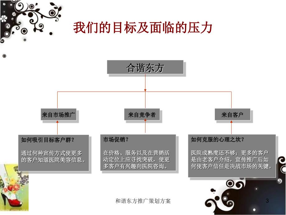 和谐东方推广策划方案课件_第3页