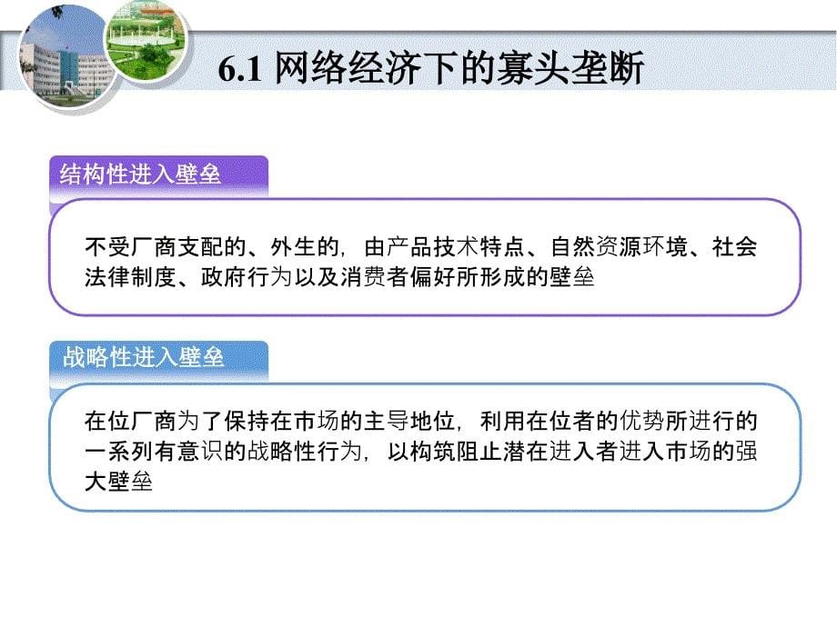 第六章网络经济下的市场结构和效率_第5页