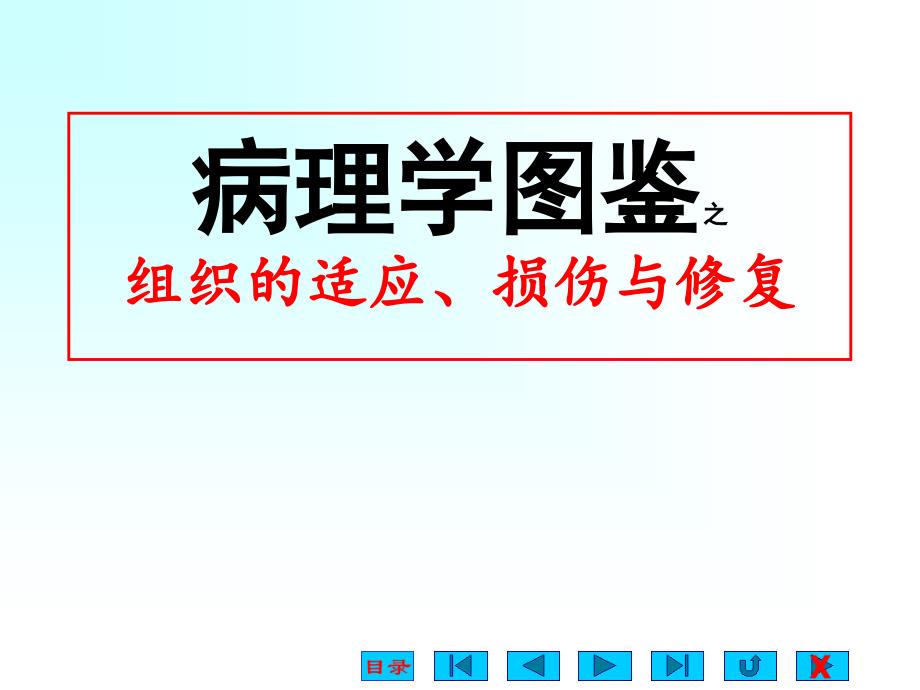 适应损伤与修复课件_第1页