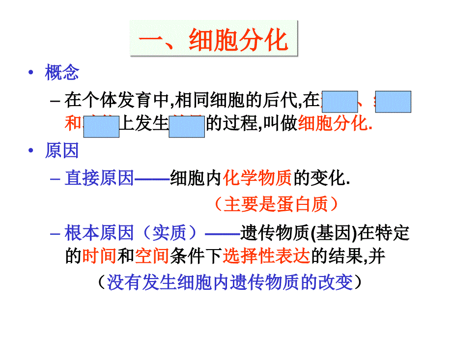 高三生物复习资料第11讲细胞分化癌变和衰老_第2页