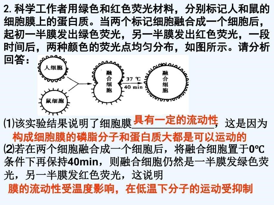 动物细胞融合和单克隆抗体_第5页