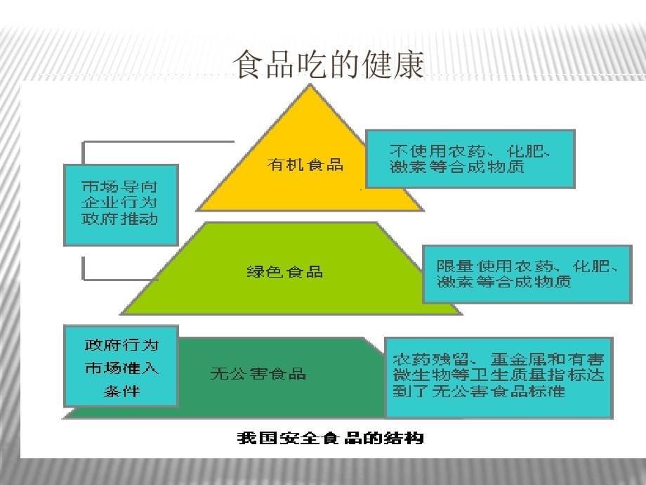 绿色有机蔬菜营销策划书_第5页