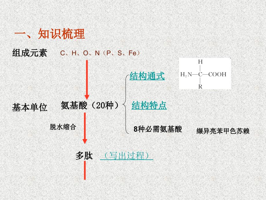 第3讲生命活动的要承担者蛋白质_第2页