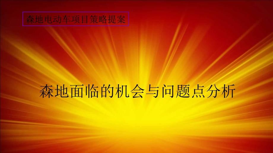 森地电动车广告宣传提案齐亚威_第4页