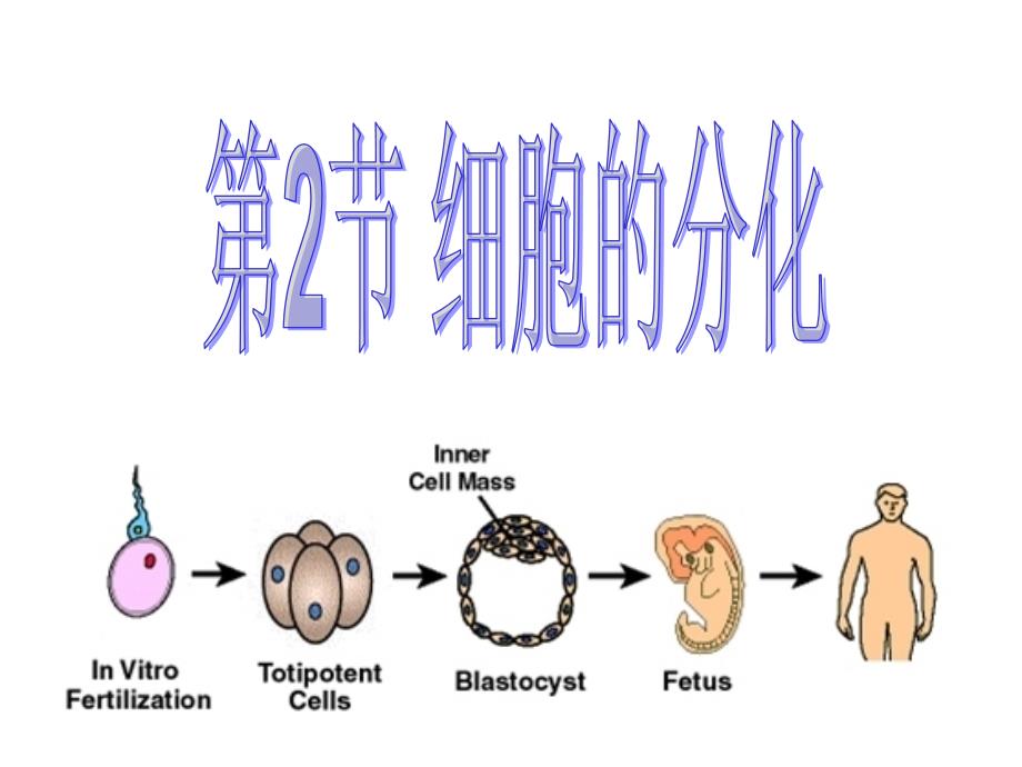 A.细胞分化是遗传物质改变的结果B._第1页