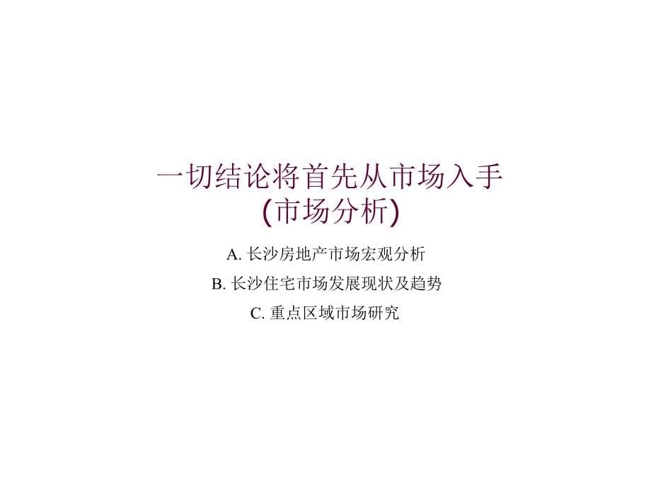 长沙长沙门300万方超大盘项目整体策划报告(华业行)220页_第5页