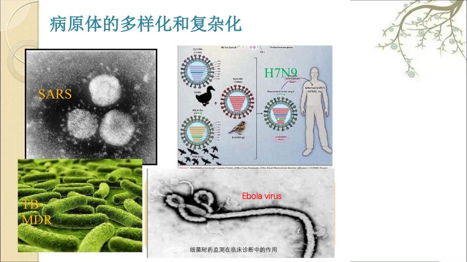 细菌耐药监测在临床诊断中的作用_第3页