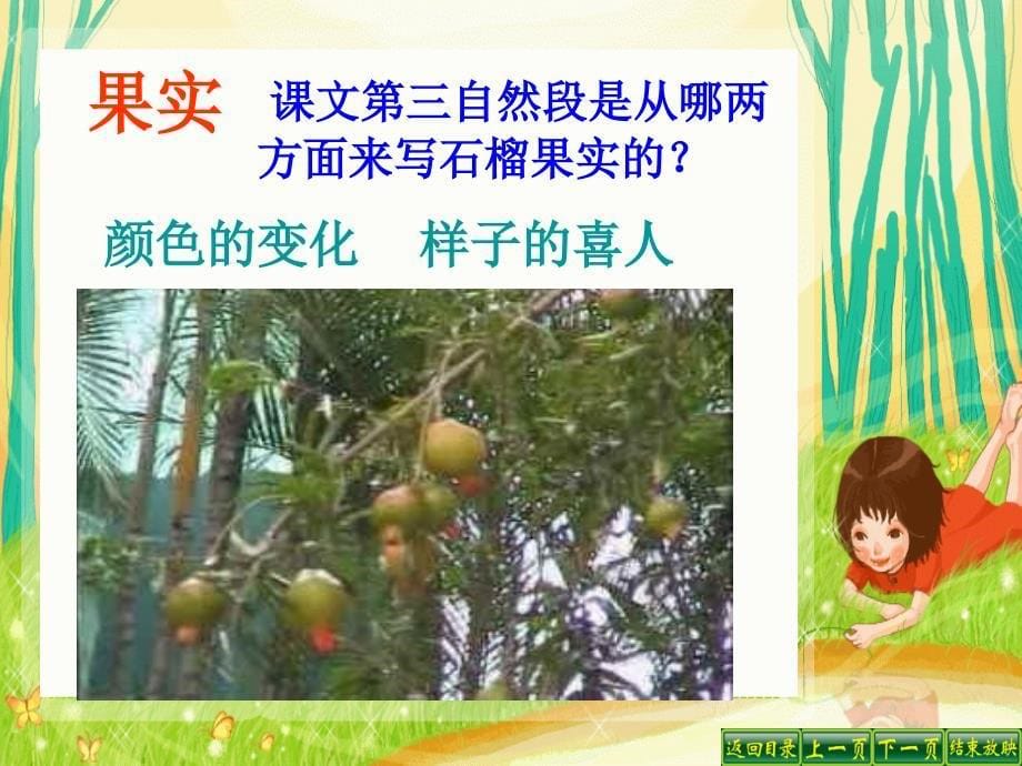 苏教版小学语文三年级上册石榴第二课时课件_第5页