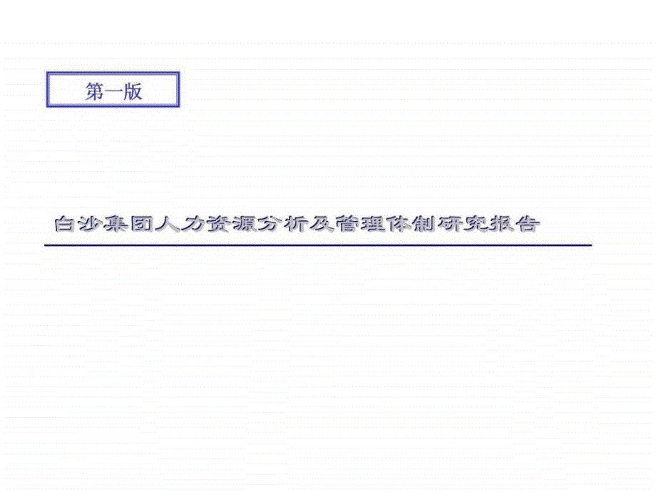 白沙集团人力资源分析及管理体制研究报告_第1页