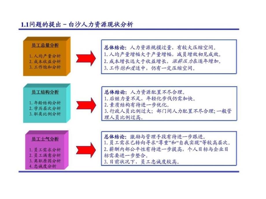 白沙集团人力资源分析及管理体制研究报告_第3页