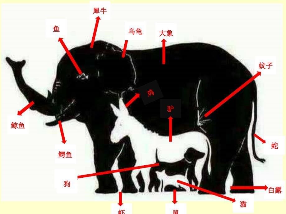 湘美版美术绘画1.2形的视觉印象课件(共36张PPT)_第5页