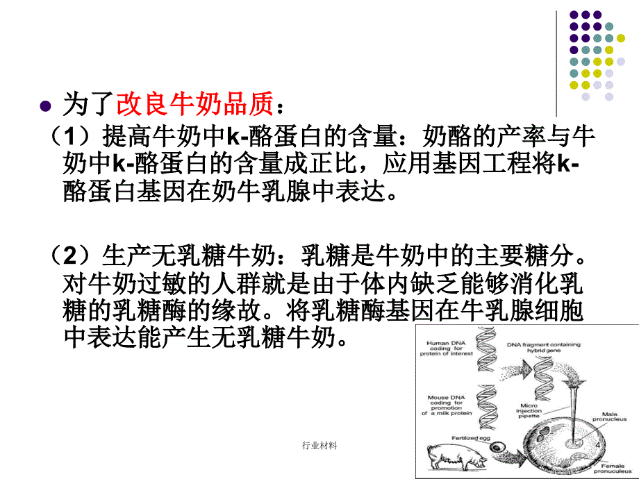 基因工程在食品科学中的应用【优制材料】_第4页