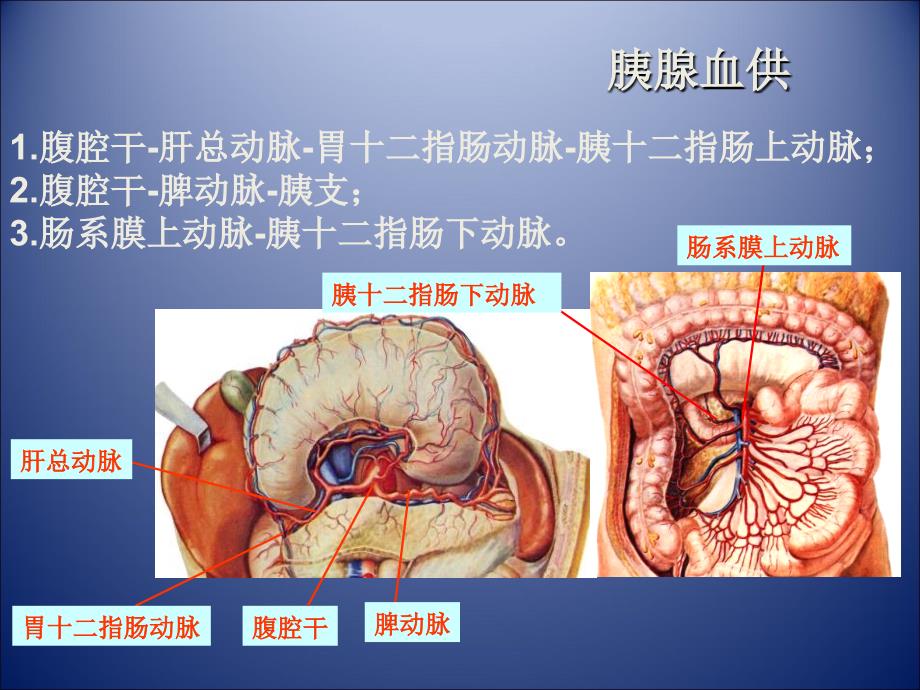 胰腺肿瘤影像学诊断.ppt_第3页