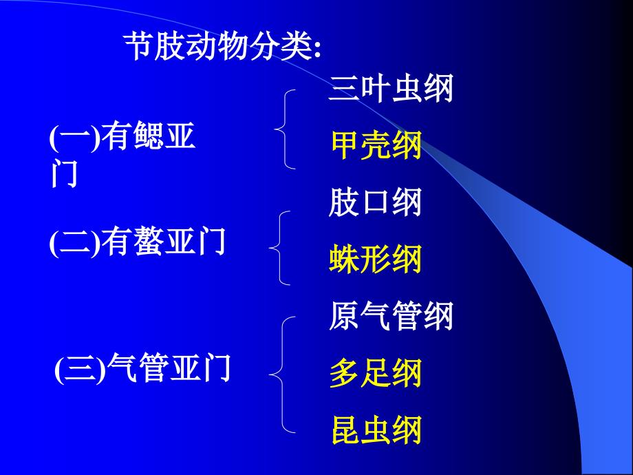 动物学72昆虫_第2页