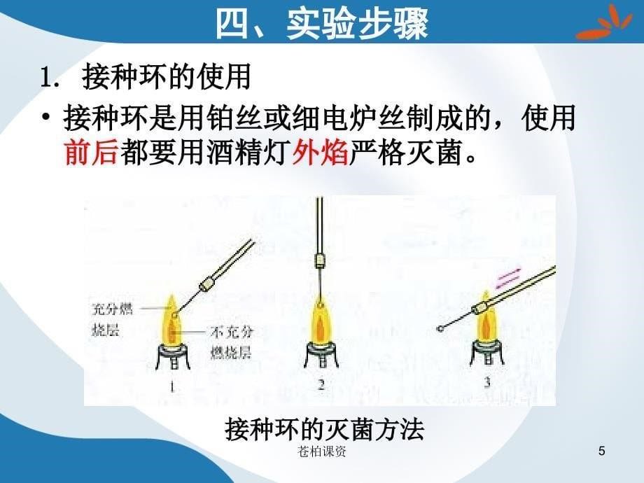 微生物的分离纯化与接种技术【专业教学】_第5页