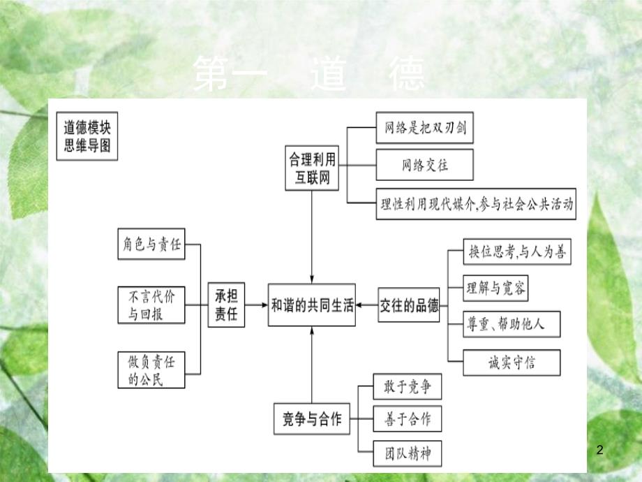 重庆市中考政治总复习第一道德考点1合理利用互联网课件_第2页