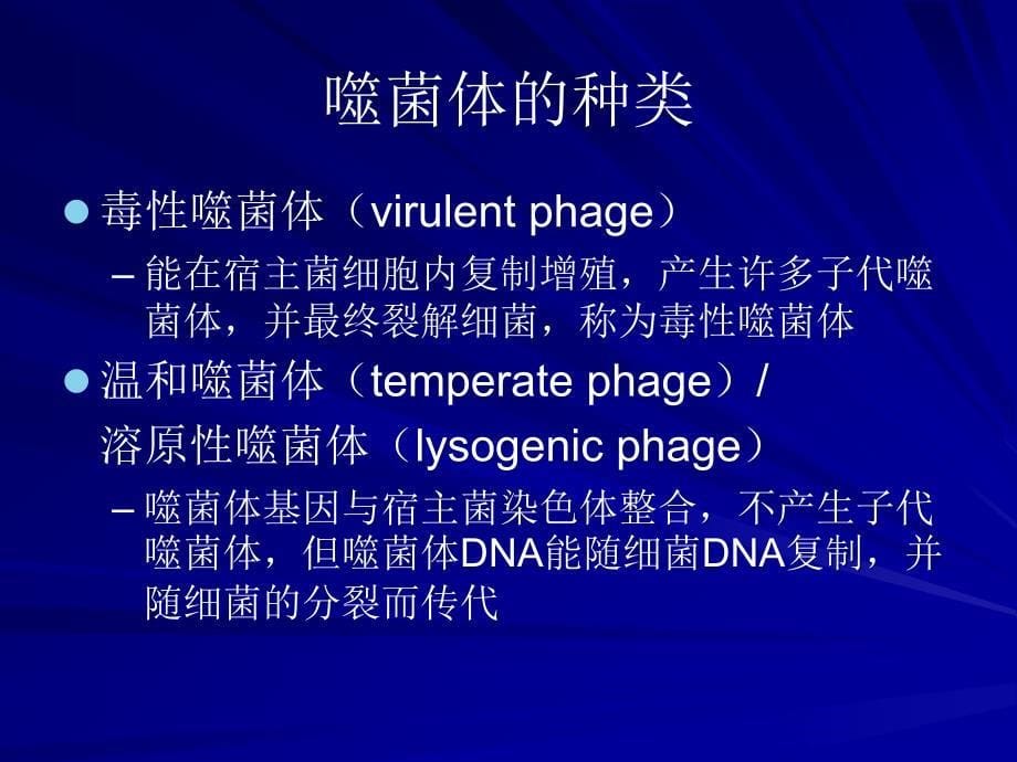 医学课件第4噬菌体bacteriophagephage_第5页